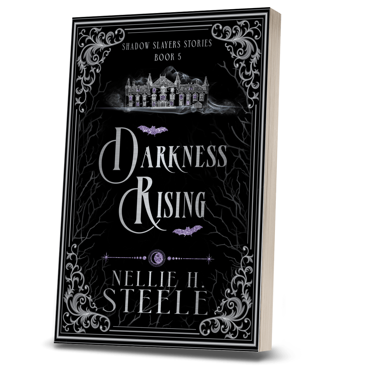 DARKNESS RISING (PAPERBACK)