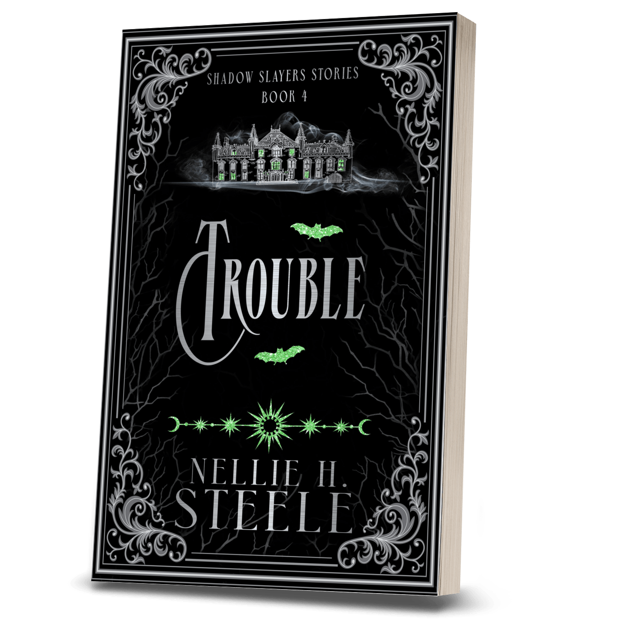 TROUBLE (PAPERBACK)