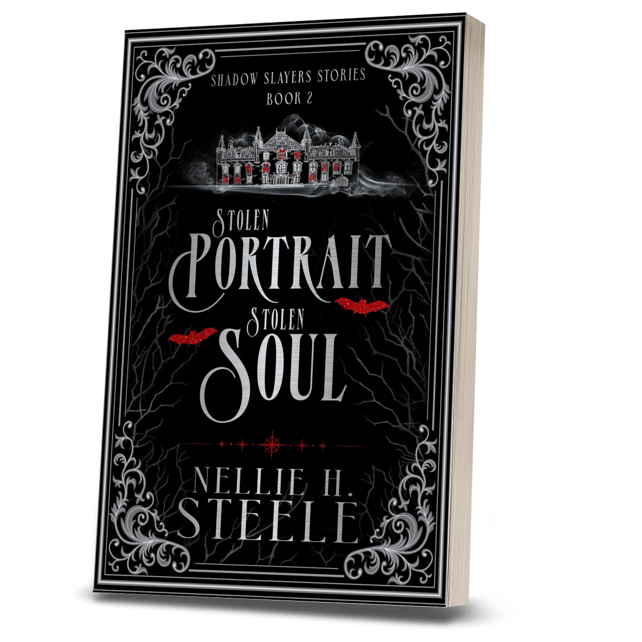 STOLEN PORTRAIT STOLEN SOUL (PAPERBACK)