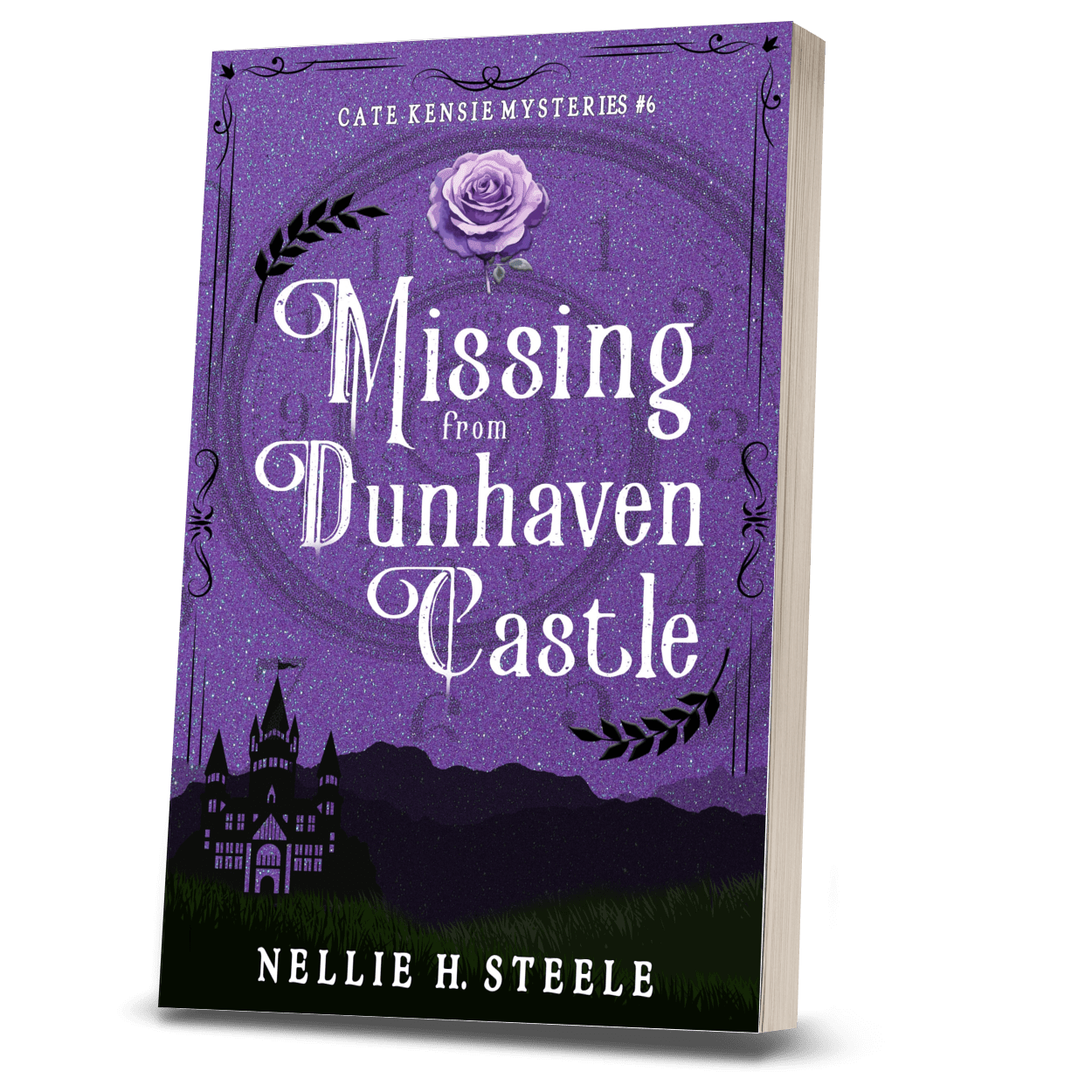 MISSING FROM DUNHAVEN CASTLE (PAPERBACK)
