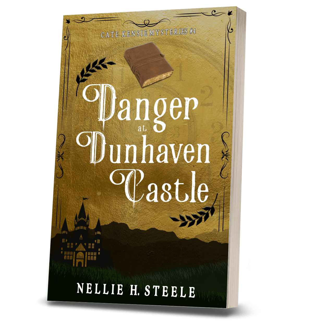 DANGER AT DUNHAVEN CASTLE (PAPERBACK)