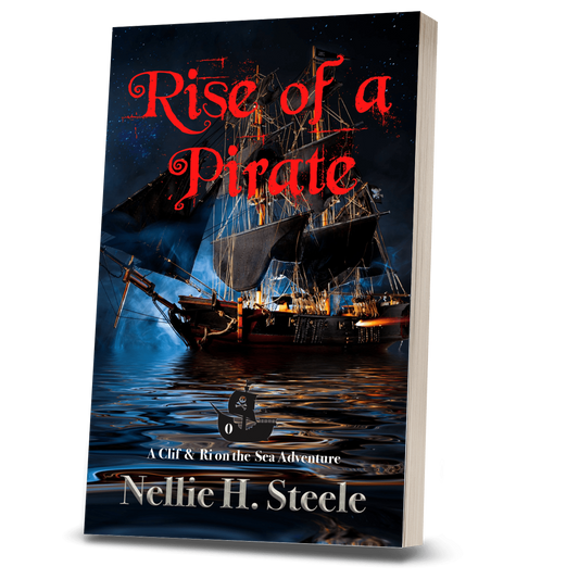 RISE OF A PIRATE (PAPERBACK)