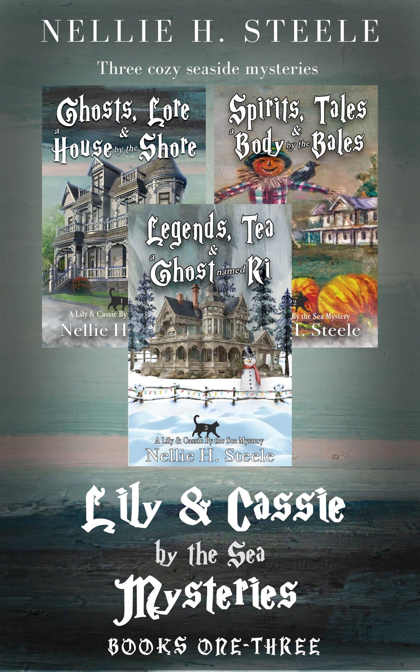 Lily & Cassie by the Sea Mysteries: Books One-Three