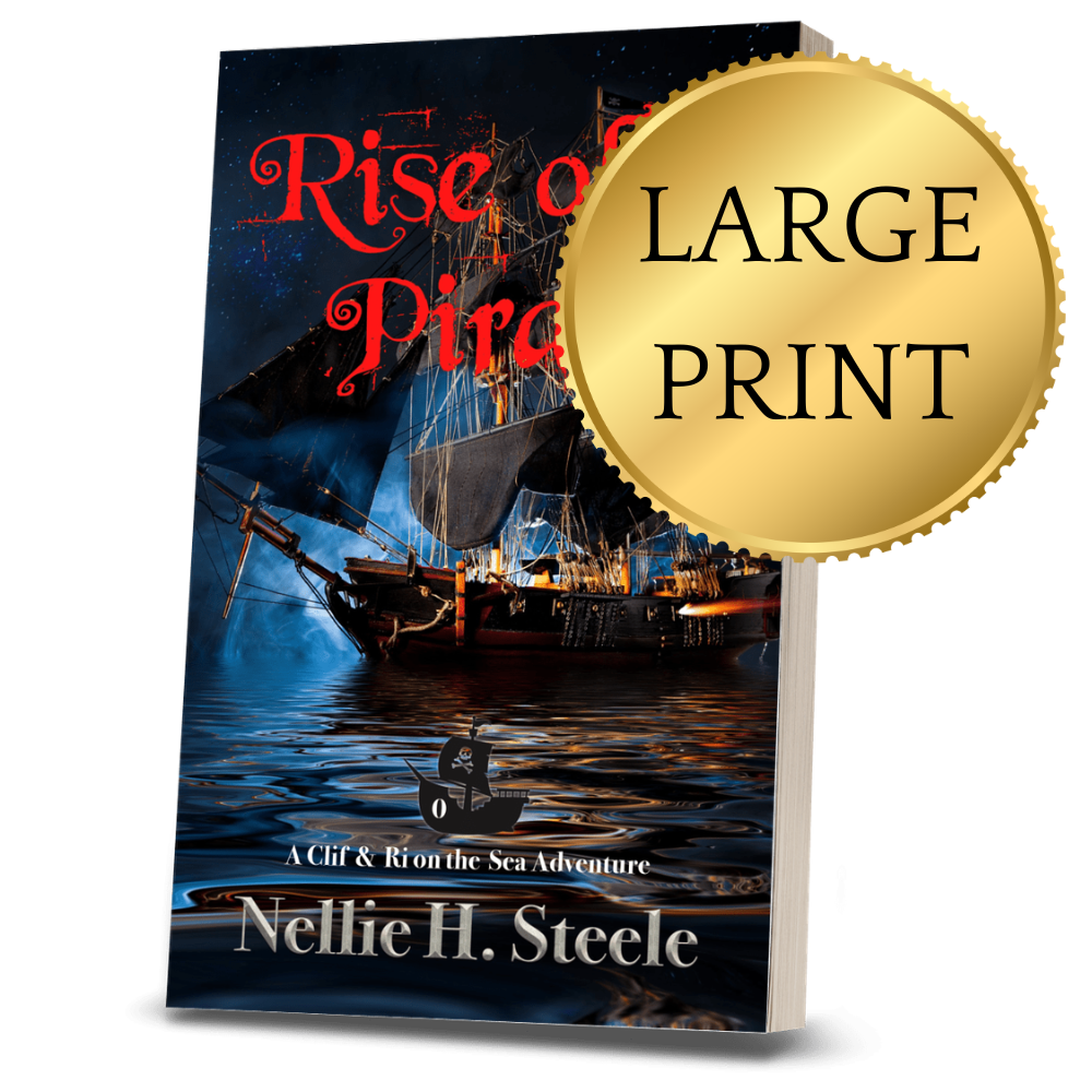 Rise_of_a_Pirate Large Print Paperback Pirate Adventure